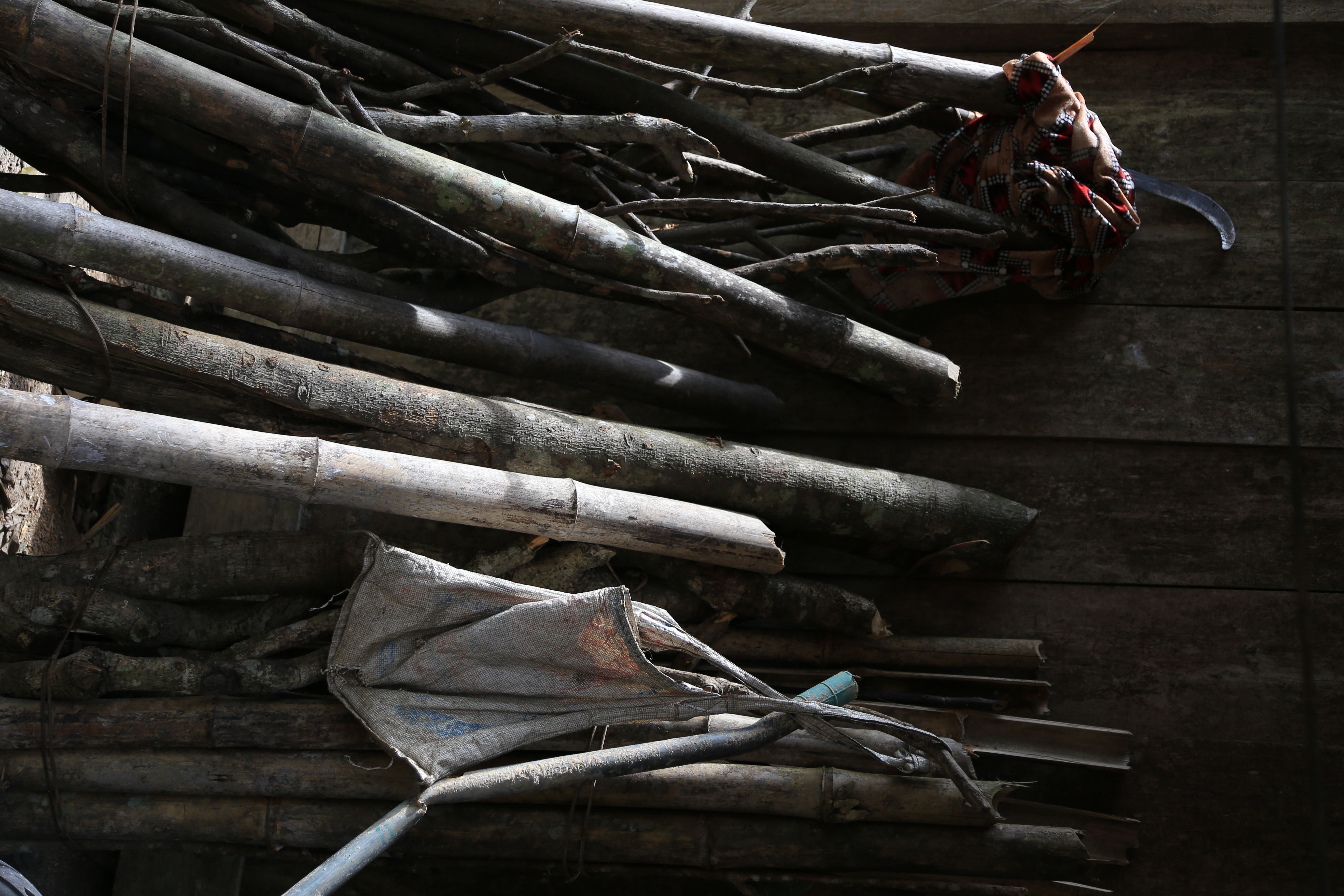 Đố ai đếm được lá rừng. Để ta khuyên gió, gió đừng rung cây (đây hiện tại cũng đang là hình nền đt của mình)