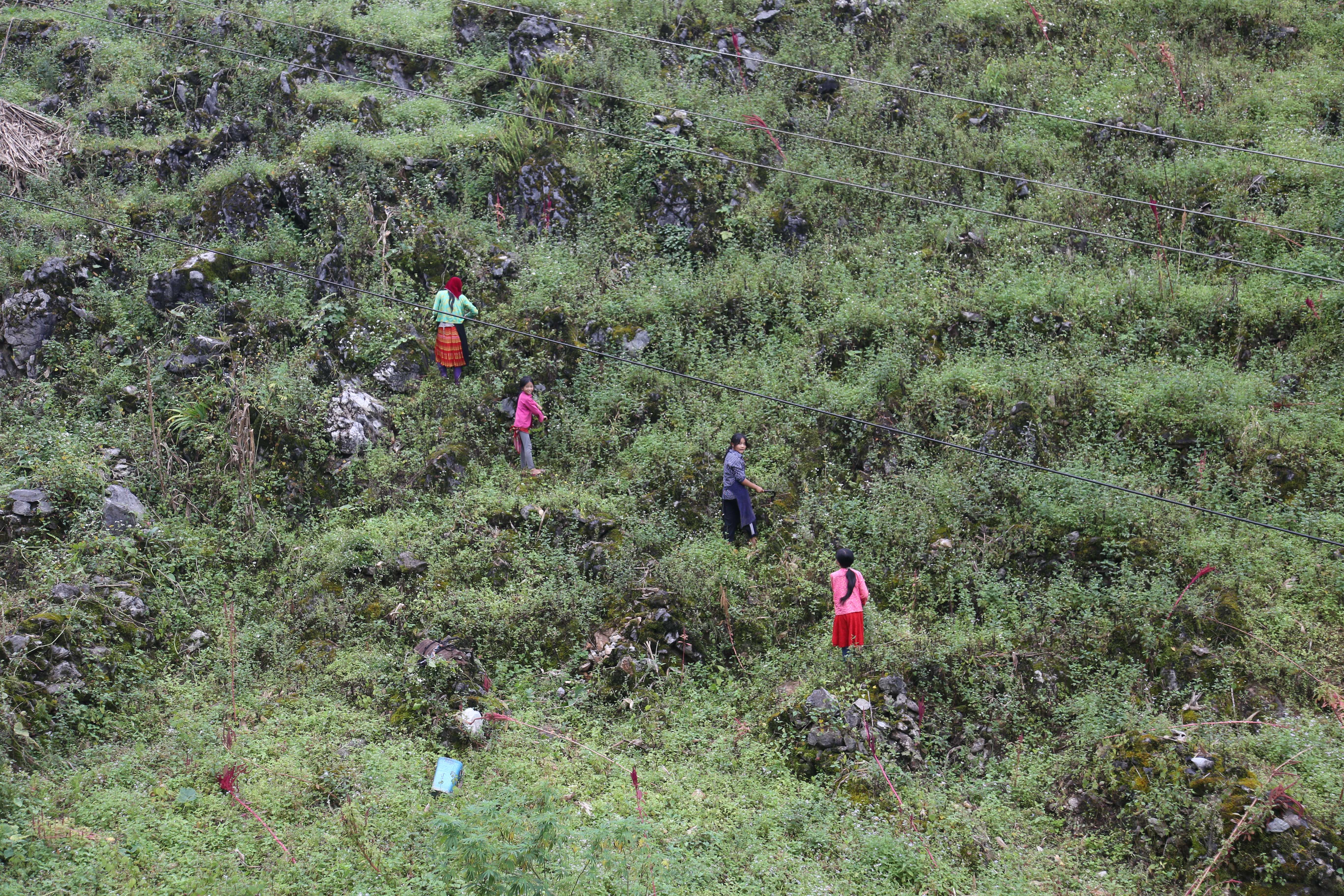 Rủ nhau đi cấy đi cày. Bây giờ khó nhọc có ngày phong lưu.