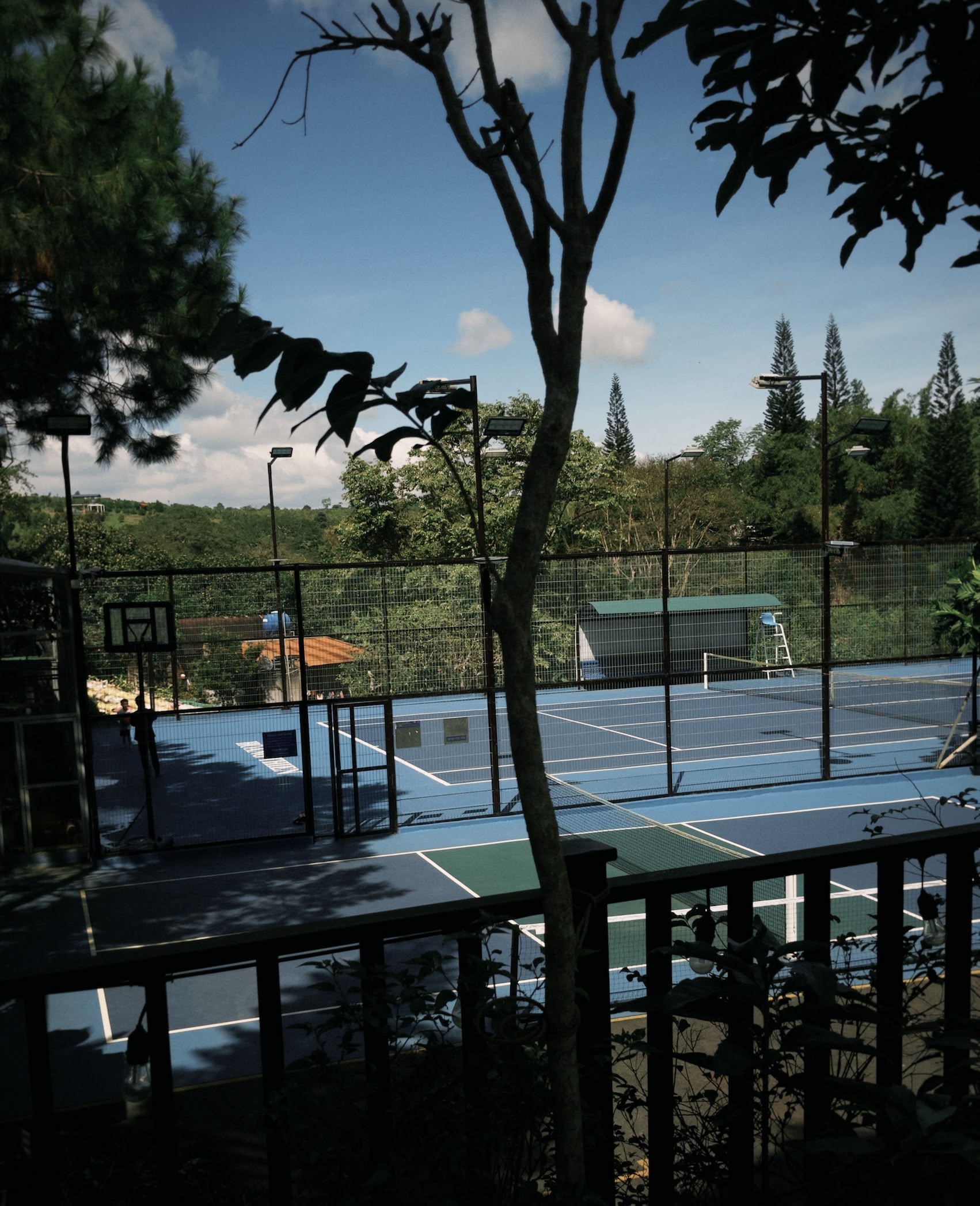 Lúc tôi viết bài này, nắng trên đồi sắp rực