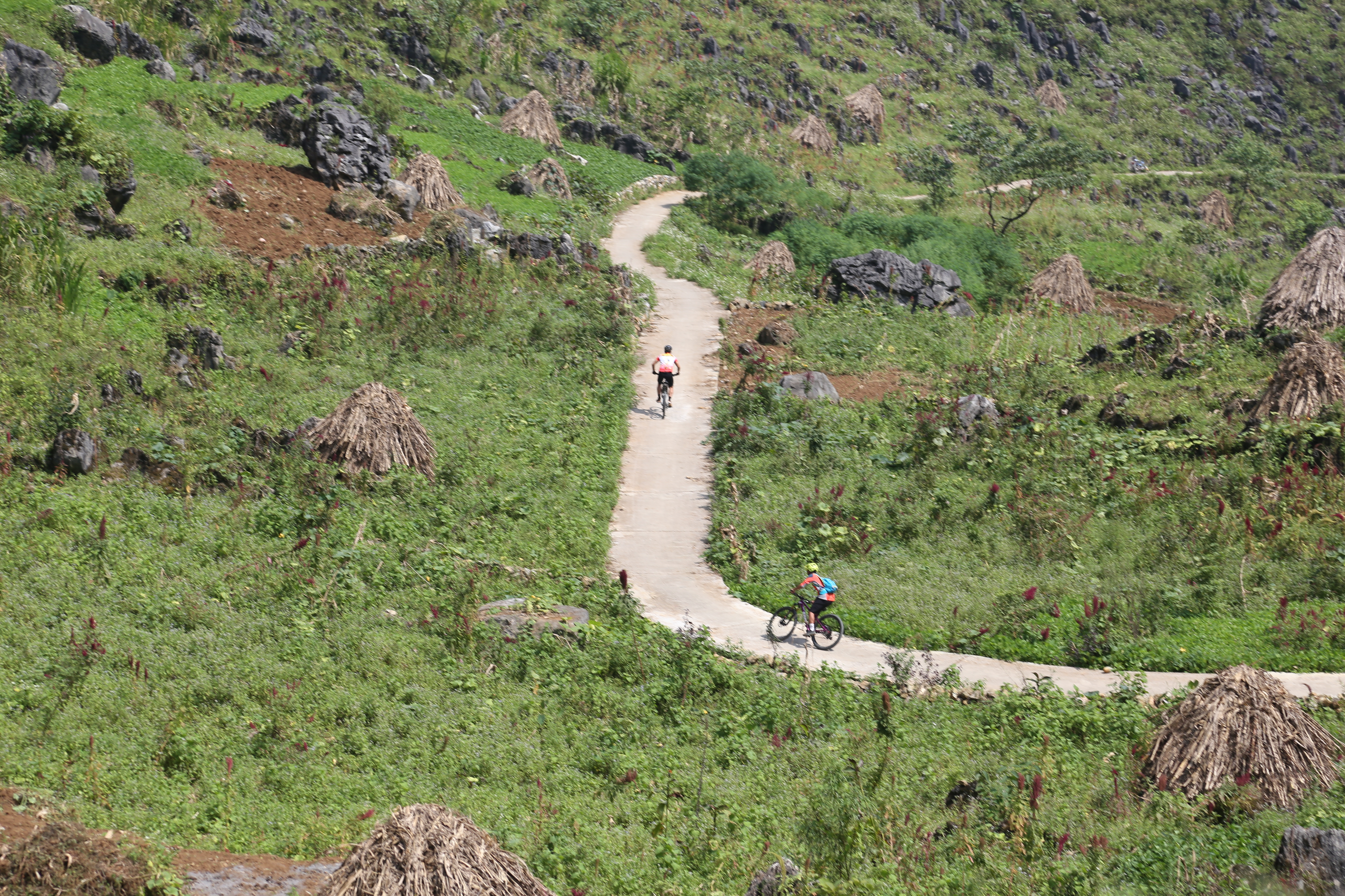 Hai ông nội này đổ đèo nhanh quá mình bấm không kịp.